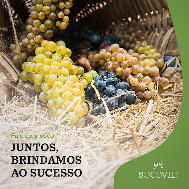 Socovil, imagem de cesto de uvas com o texto 'Juntos brindamos ao sucesso'